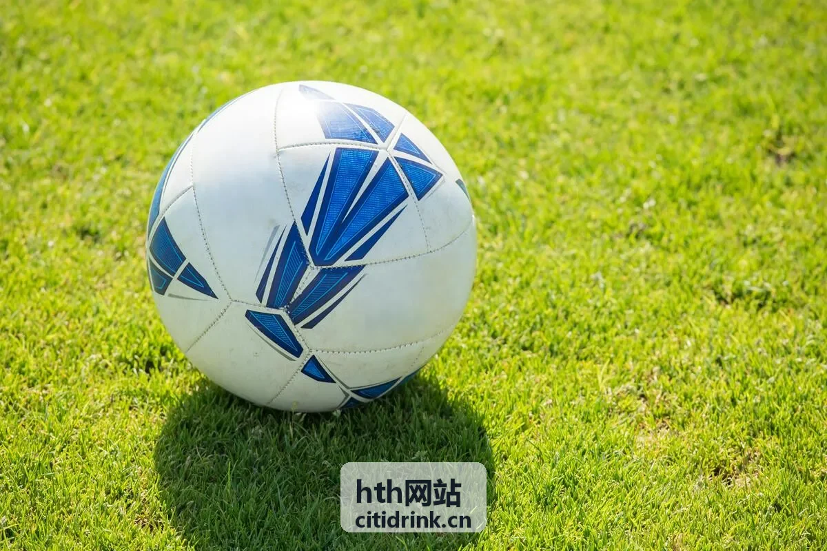 hth网站活动策划服务现场执行场景
